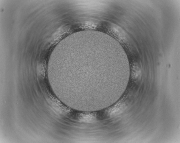 X0000086970370200704231521