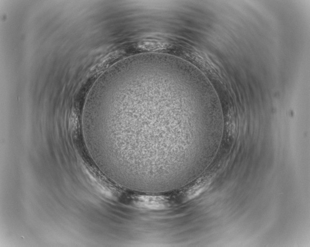 X0000086970371200704231521