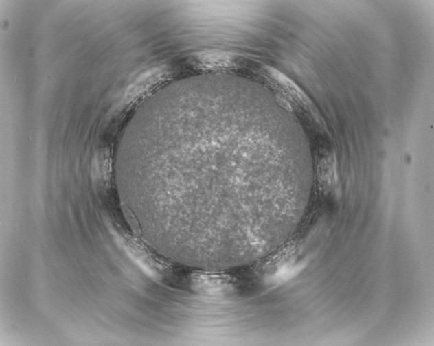 X0000086970372200704231521