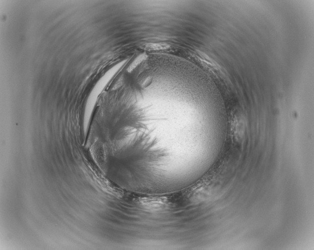 X0000086970373200704231521