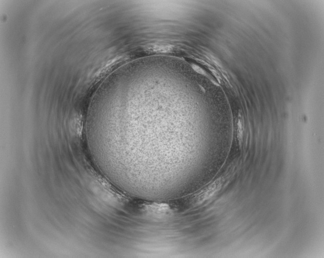 X0000086970374200704231521