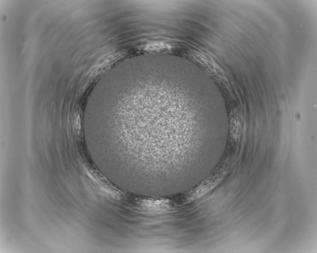 X0000086970375200704231521