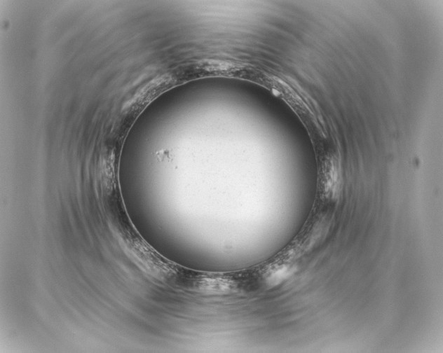 X0000086970376200704231521