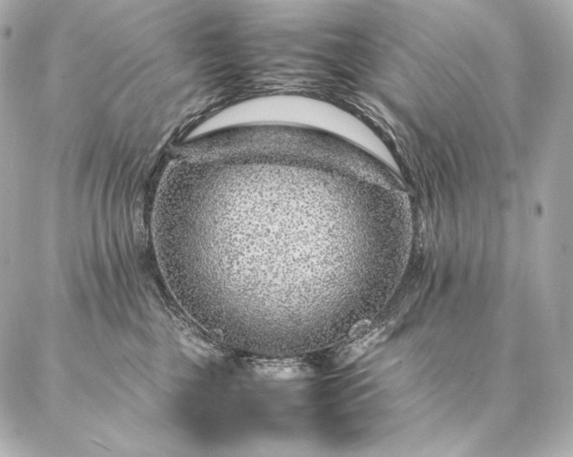 X0000086970377200704231521