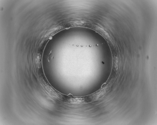 X0000086970378200704231521