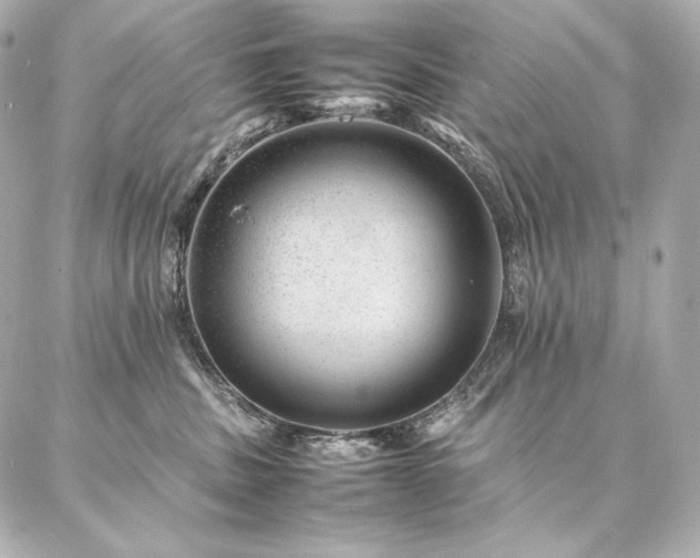 X0000086970379200704231521