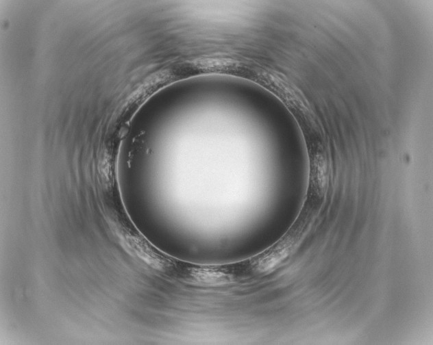 X0000086970380200704231521