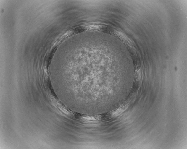 X0000086970381200704231522