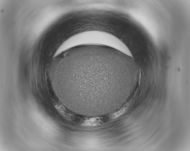 X0000086970382200704231522