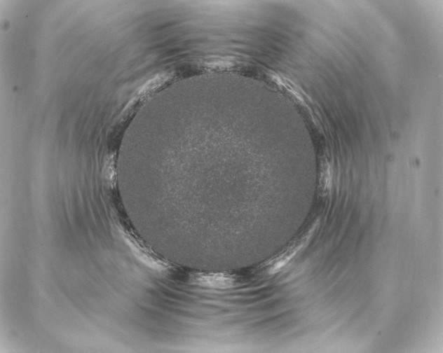 X0000086970383200704231522