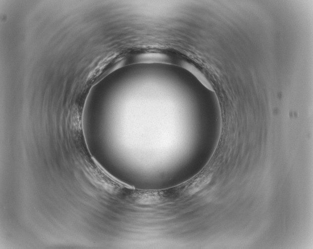 X0000086970384200704231522