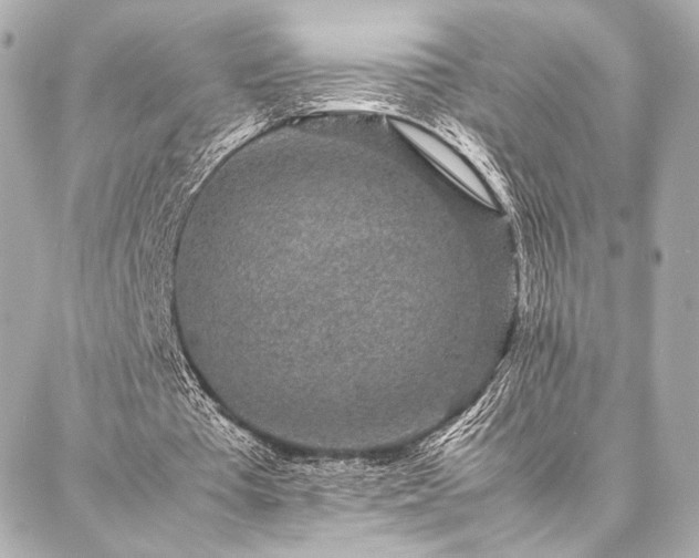 X0000086970385200704231521