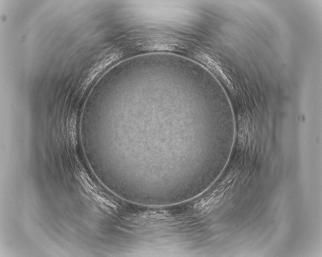 X0000086970386200704231521