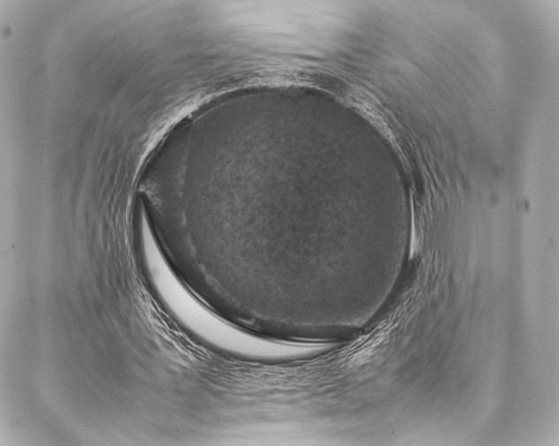 X0000086970387200704231521