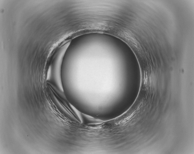 X0000086970388200704231521