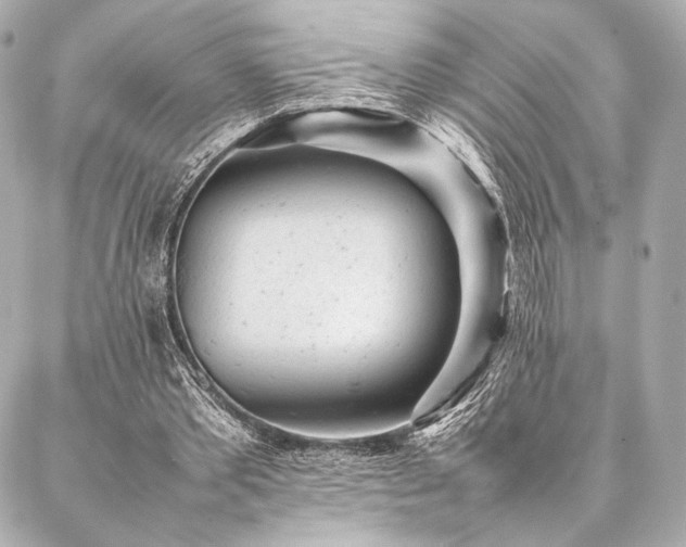 X0000086970389200704231521