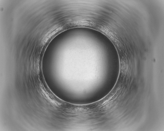 X0000086970390200704231521