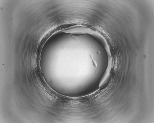 X0000086970392200704231521