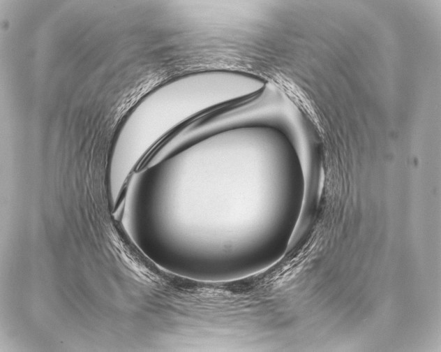 X0000086970393200704231521