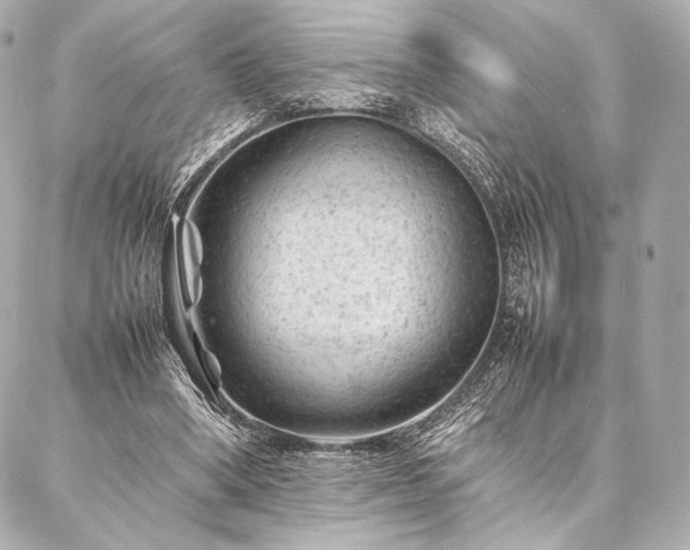 X0000086970394200704231521