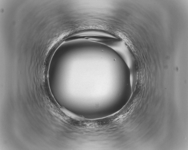 X0000086970395200704231521