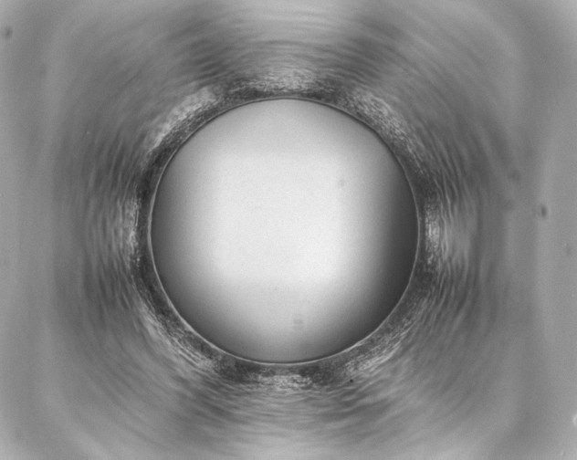 X0000086970396200704231521