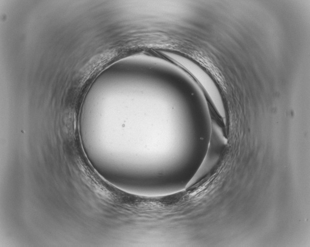 X0000086970397200704231521