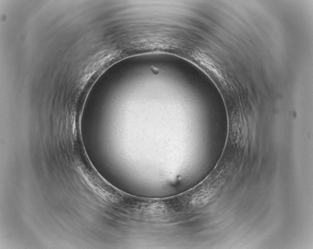 X0000086970398200704231521