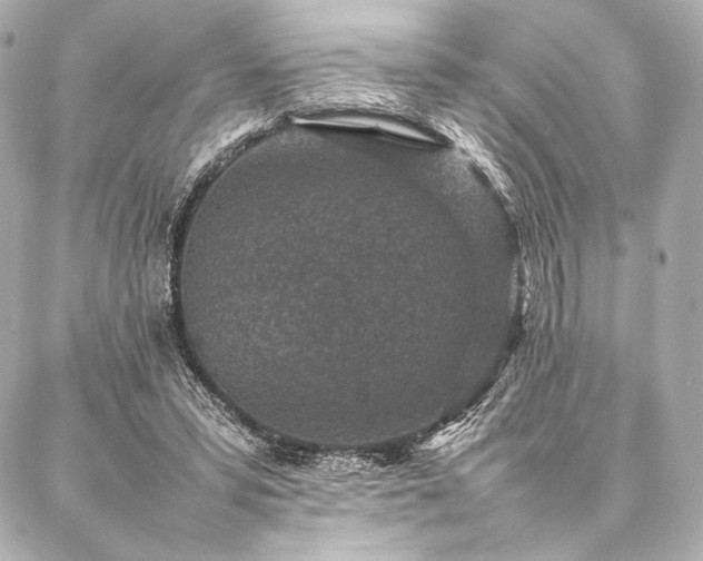 X0000086970399200704231521