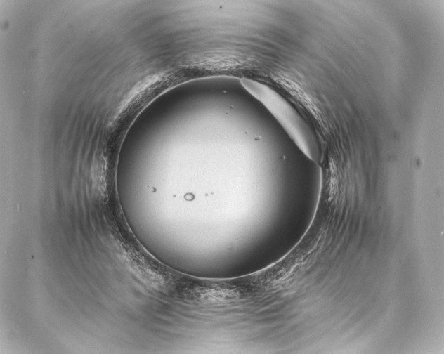 X0000086970400200704231521