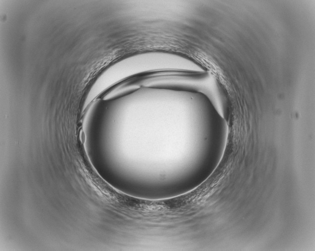 X0000086970401200704231521