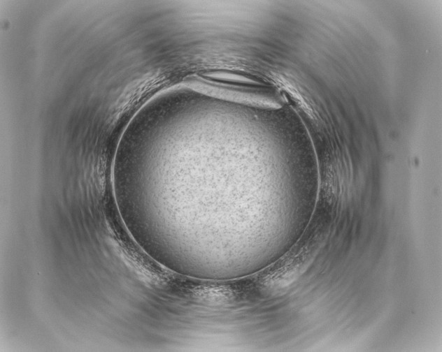 X0000086970402200704231521