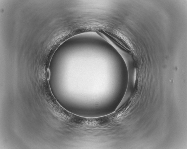 X0000086970403200704231520