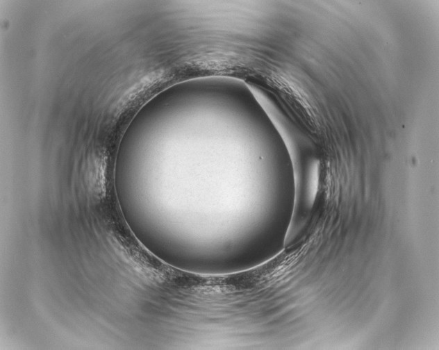 X0000086970404200704231520