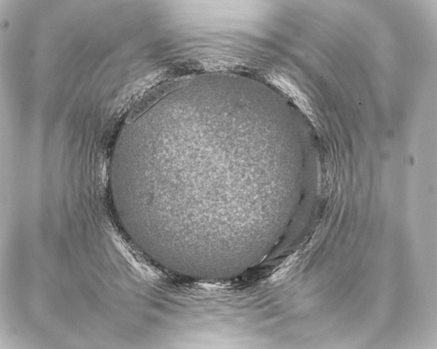 X0000086970405200704231520