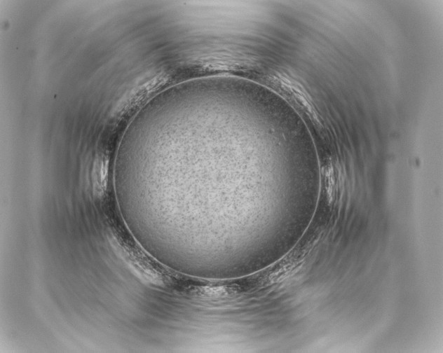 X0000086970406200704231520