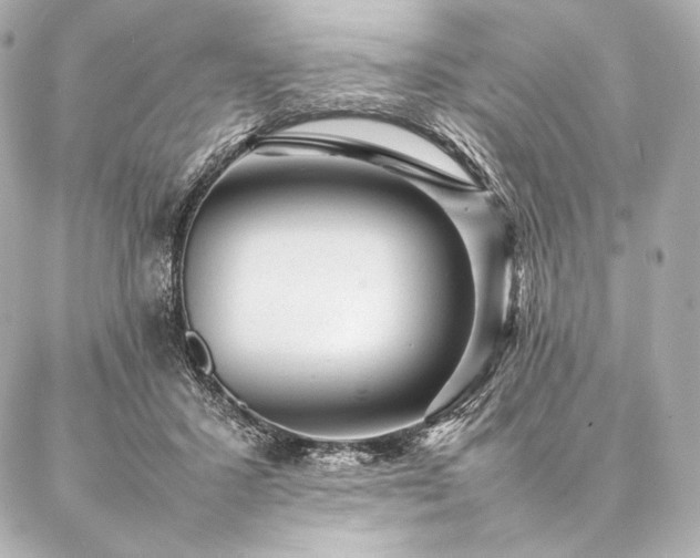 X0000086970407200704231520