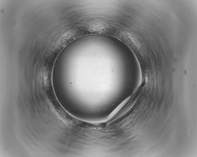 X0000086970408200704231520