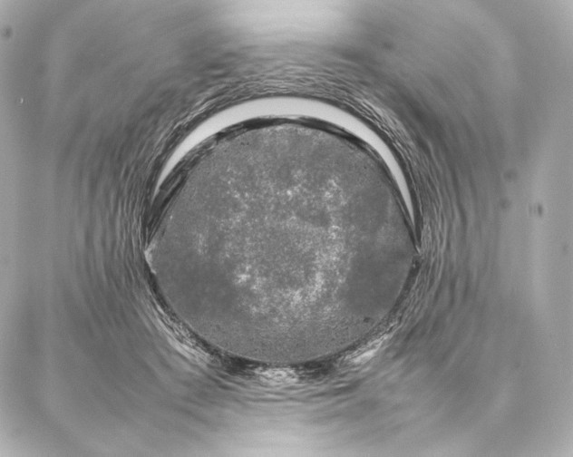 X0000086970409200704231520