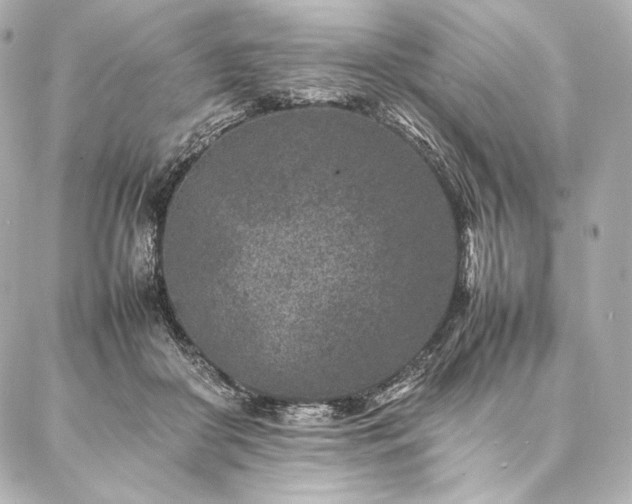 X0000086970410200704231520