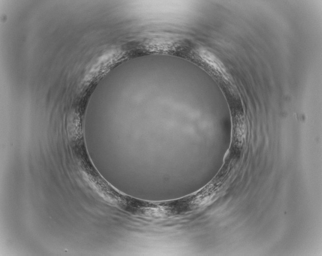 X0000086970411200704231520