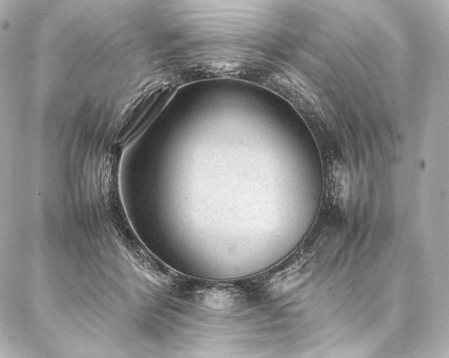 X0000086970412200704231520