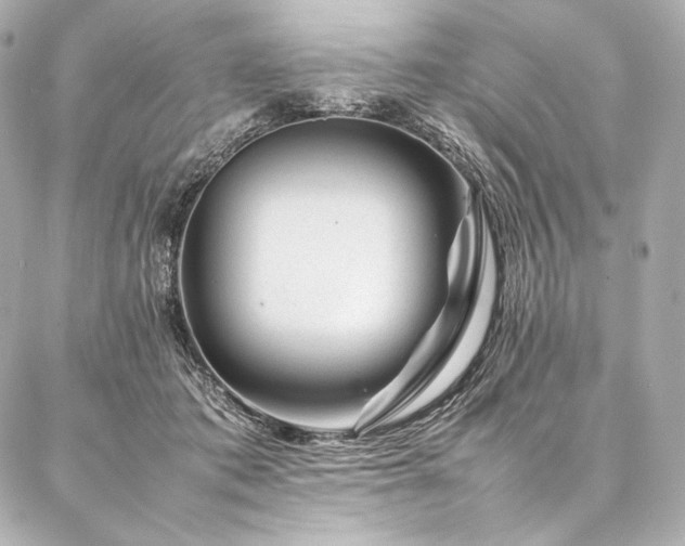 X0000086970413200704231520