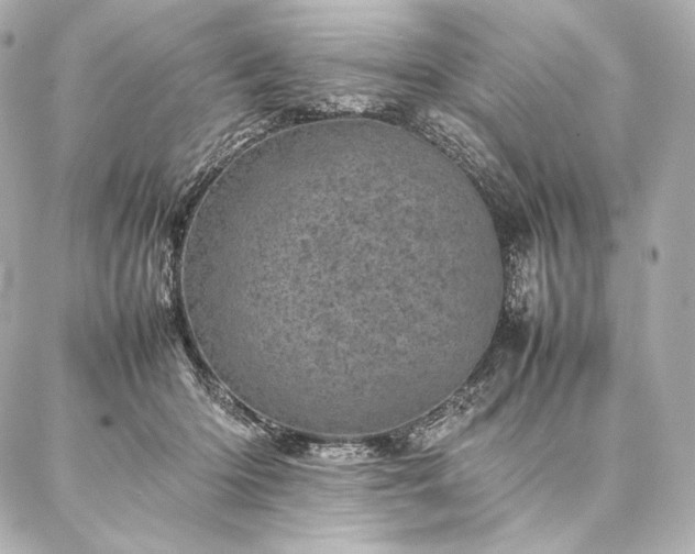 X0000086970414200704231520