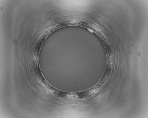 X0000086970415200704231520