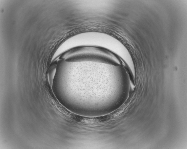 X0000086970417200704231520