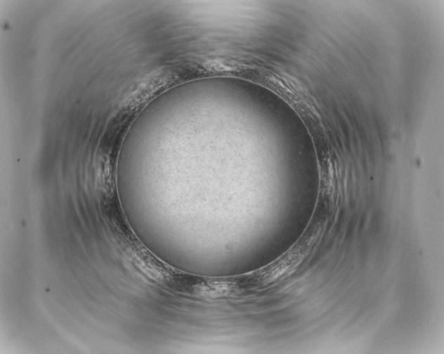 X0000086970418200704231520