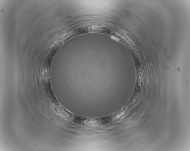 X0000086970419200704231520