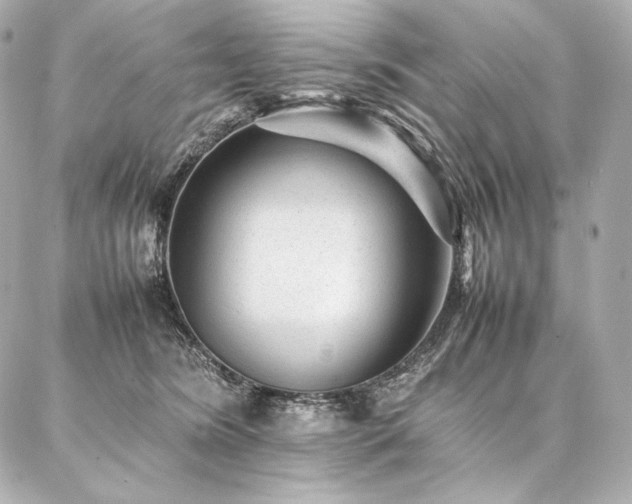 X0000086970420200704231520