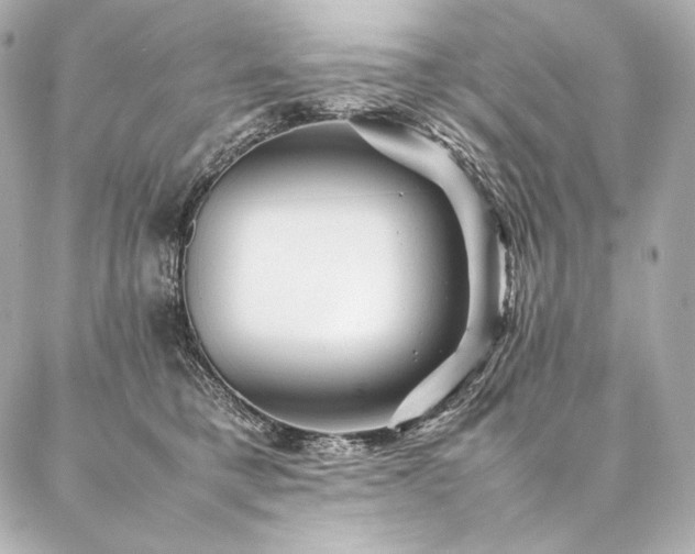 X0000086970421200704231520